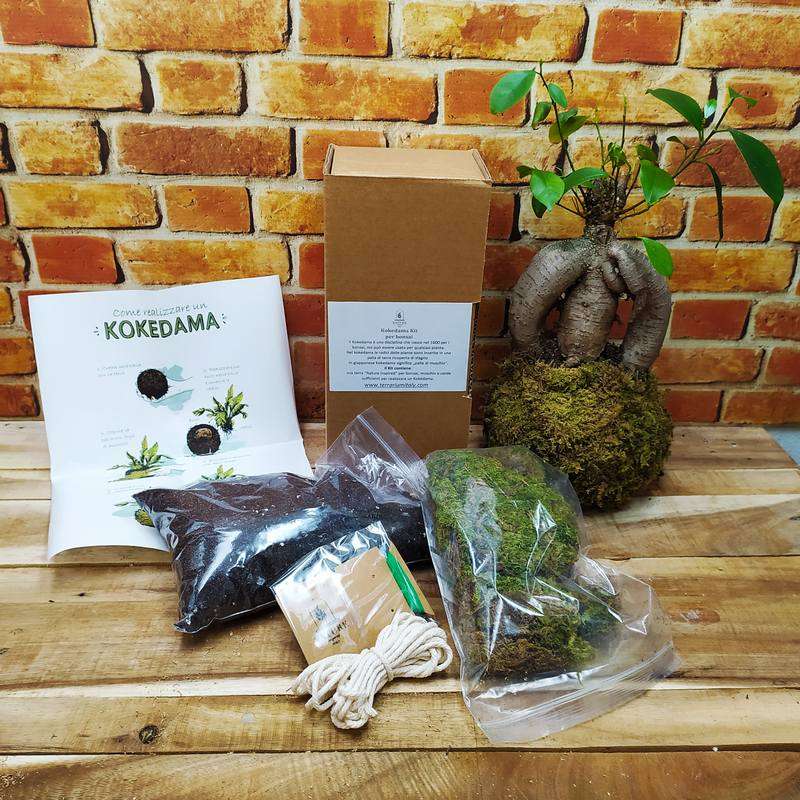 Kit Kokedama per bonsai faidate Nature Inspired